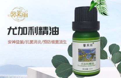 尤加利精油